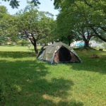Thumbnail of post image 124